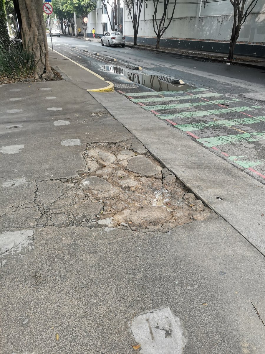 Alberto SH tweet media