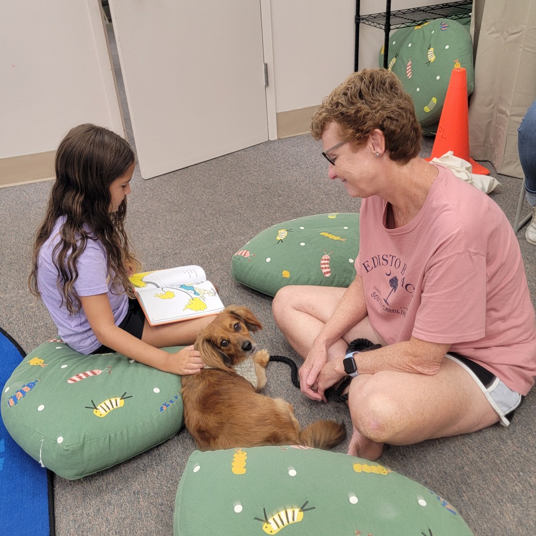 liveoakpl's tweet photo. Last week at Lopl, we had adorable Dog Days programs where young readers practiced their skills with ECDS Pup Program therapy dogs. In Rincon, we had an archaeology dig for our Mad Science program and enjoyed time with a balloon artist. #libraryprograms #lopl #src2024 https://t.co/8Xtwe6MJaj