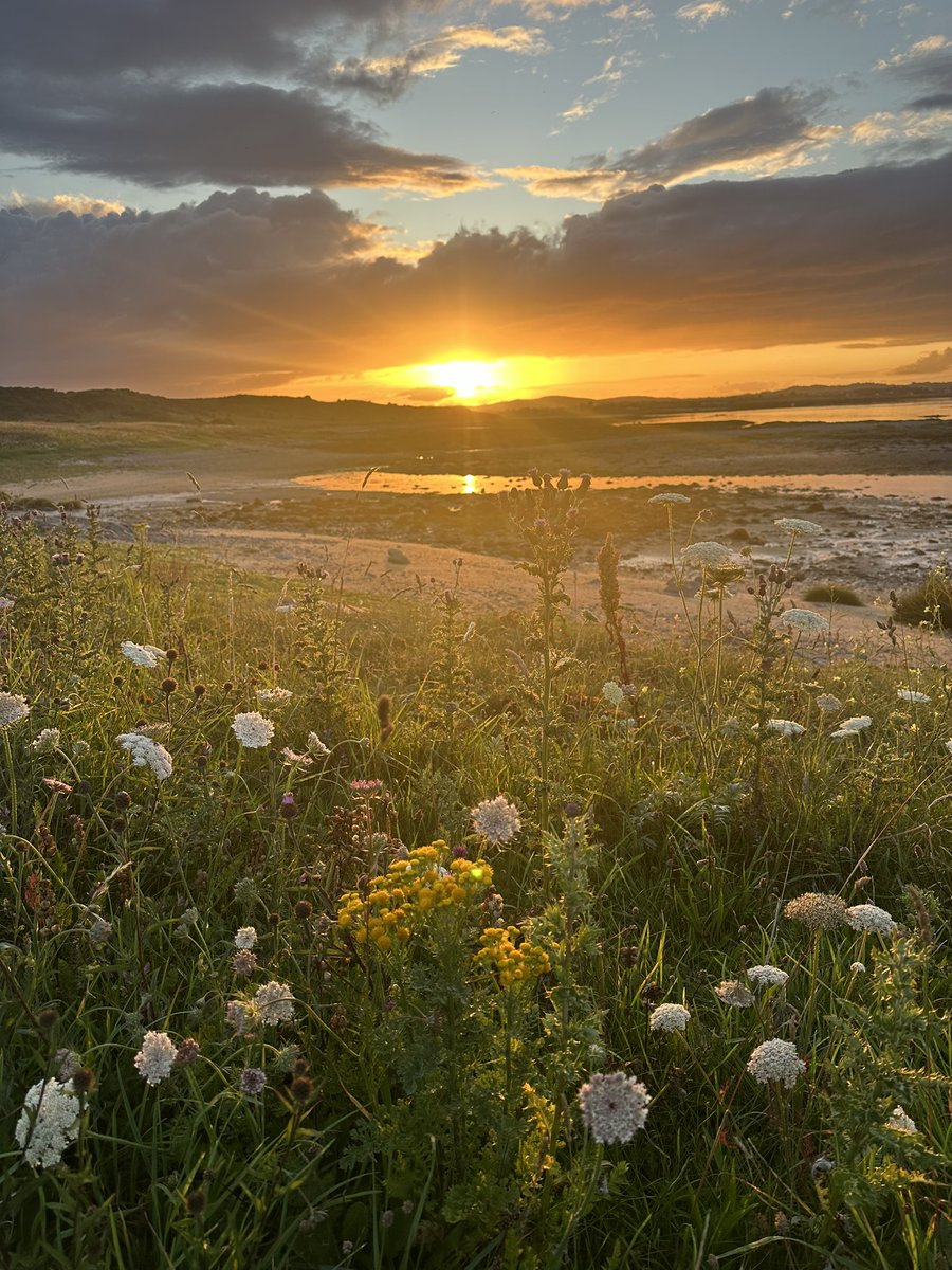 Marie-Thérèse tweet media