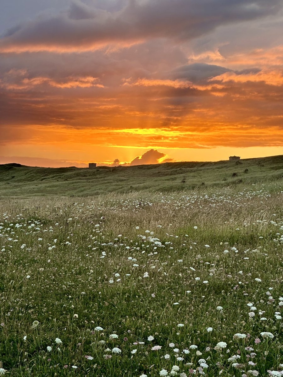Marie-Thérèse tweet media