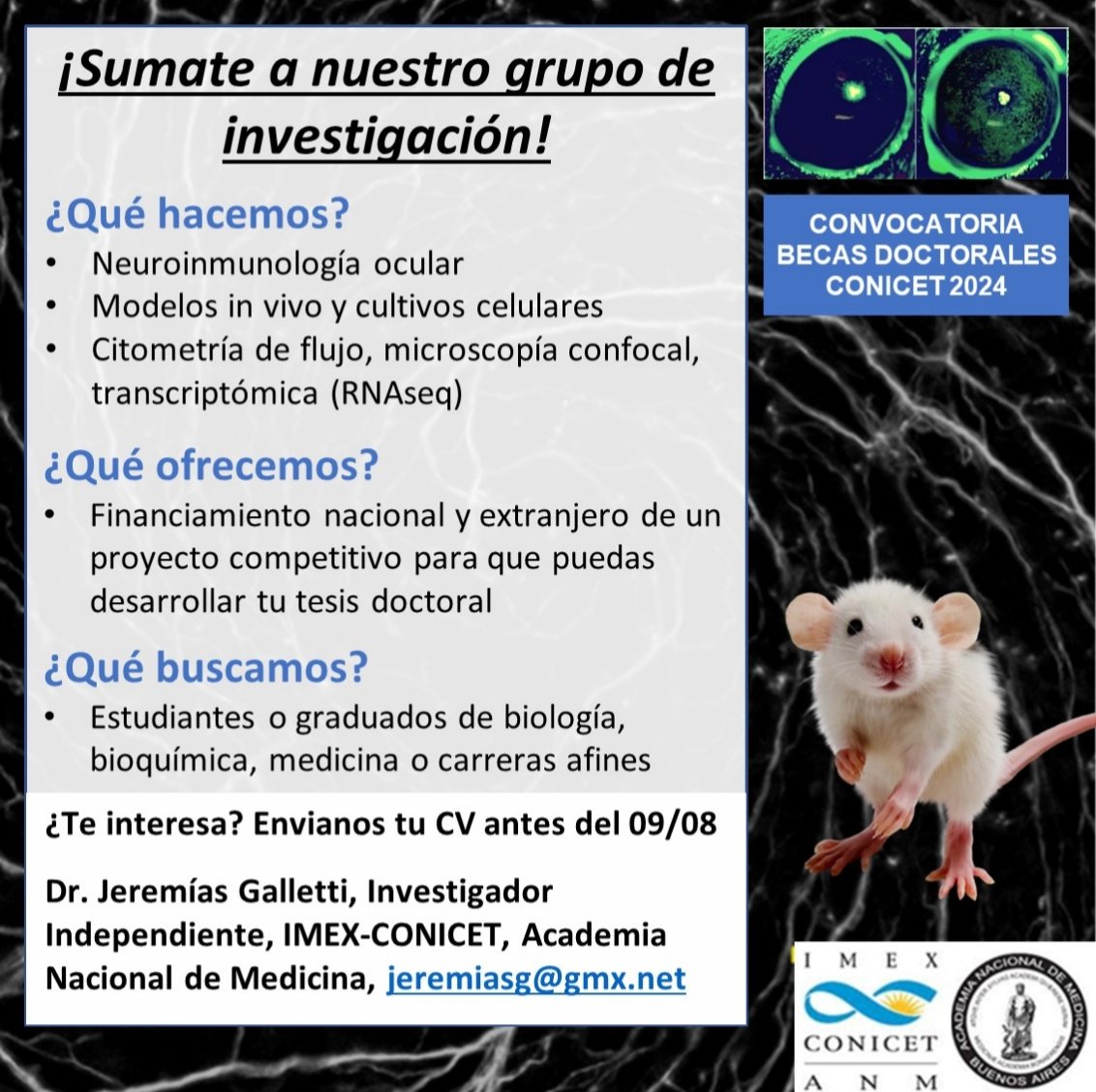 DrJereGaletti's tweet photo. 📢BECAS CONICET 2024🔬👀
¿Buscando dónde hacer tu doctorado? Sumate a nuestro grupo para investigar en neuroinmunología. Vení a visitarnos al IMEX o mándanos tu CV @imex_conicetanm @CONICETDialoga https://t.co/3T5wFWZTys