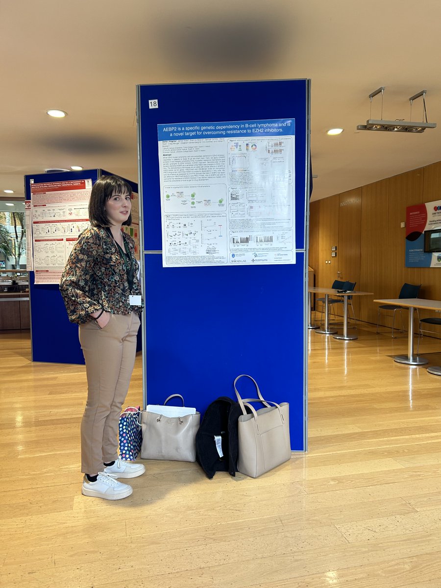 All Ireland Haematology Forum (@allirelandhaem) on Twitter photo Congratulations to our poster prize winners Emma Doyle (<a href="/conwayer1/">Eric Conway</a>), Grainne Holland (<a href="/adrianbracken/">Adrian Bracken</a>), and <a href="/AlexMMutch/">Alex Mutch</a> #AIHF2024
Well deserved! Congratulations to our poster prize winners Emma Doyle (<a href="/conwayer1/">Eric Conway</a>), Grainne Holland (<a href="/adrianbracken/">Adrian Bracken</a>), and <a href="/AlexMMutch/">Alex Mutch</a> #AIHF2024
Well deserved!
