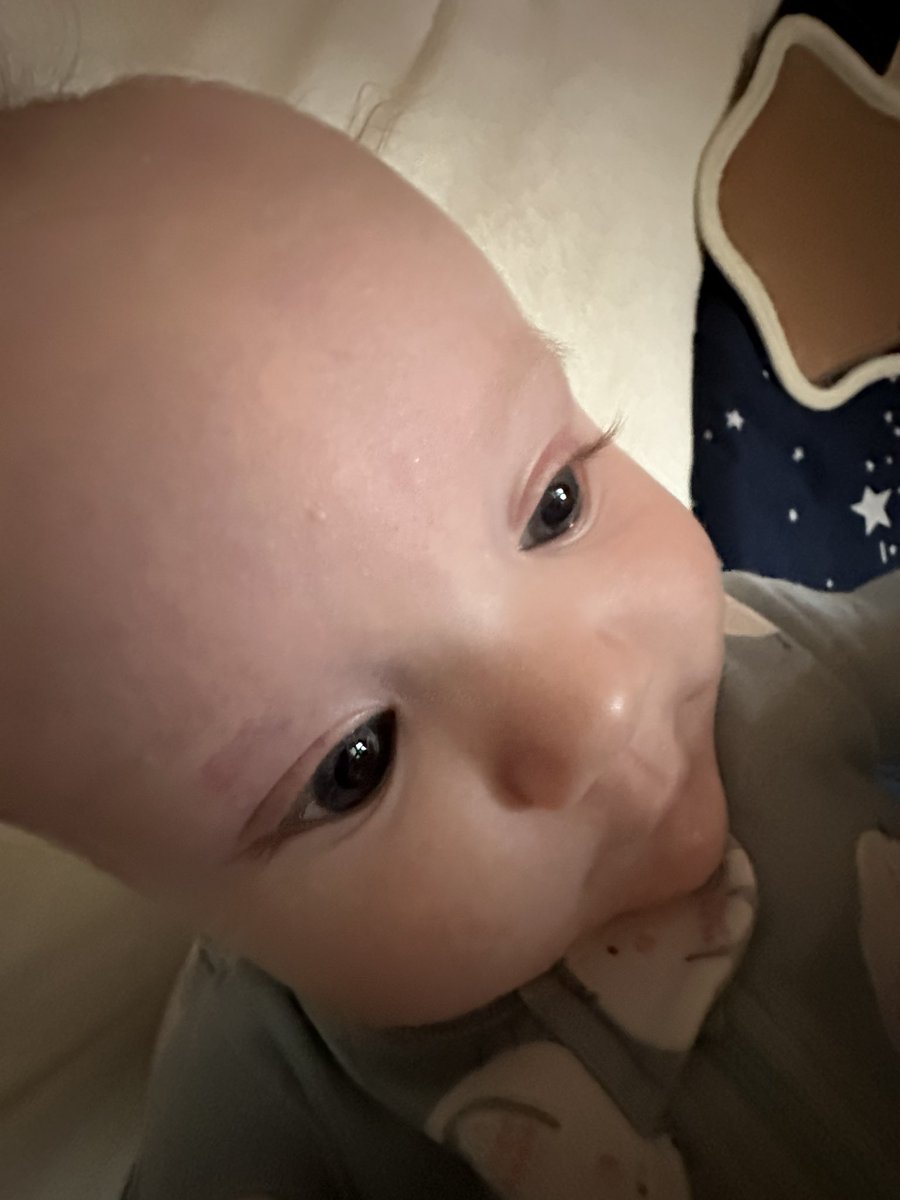 GooGegeben's tweet photo. Big 🧠 https://t.co/BILeD5b1ye