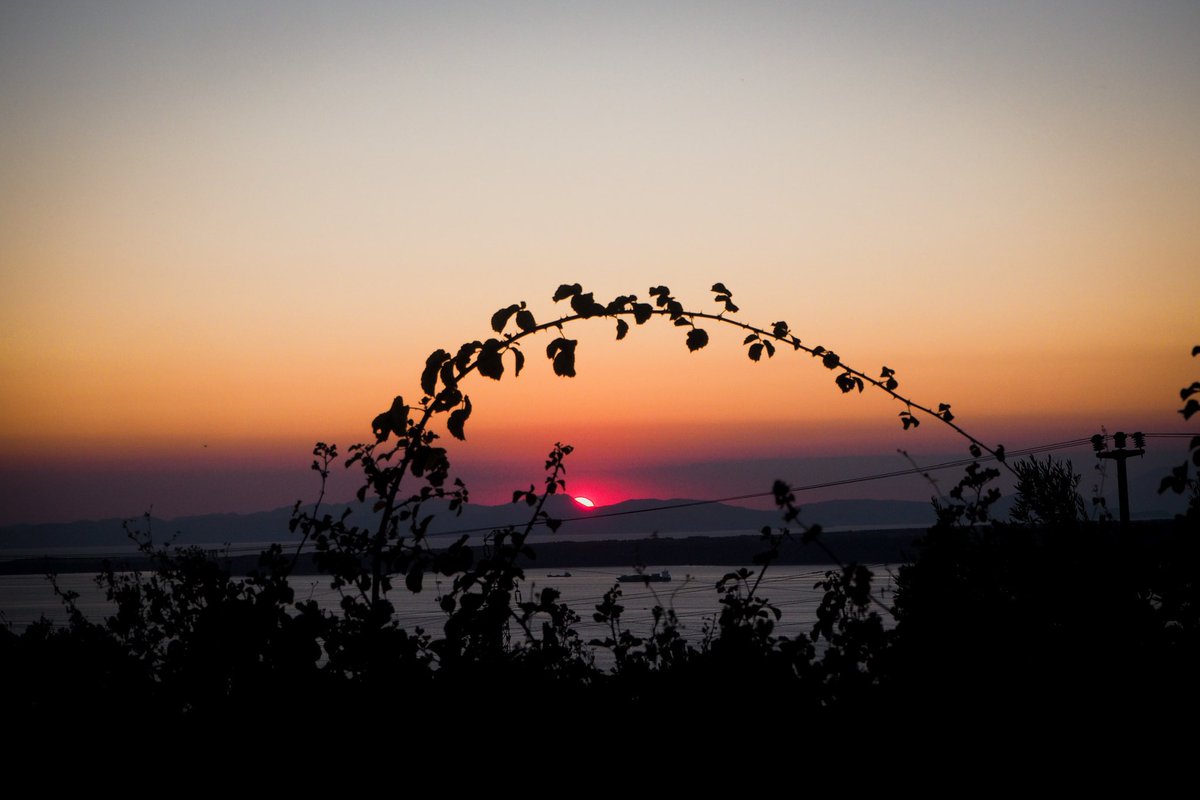 Enes Karabacak tweet media