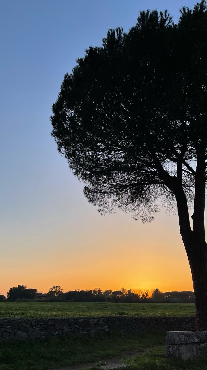 Photo: A day gone by. dlvr.it/TB6Pv2