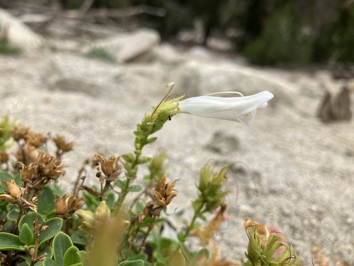 Ben Stone tweet media