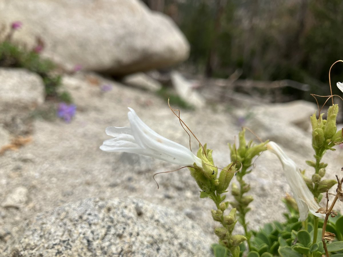 Ben Stone tweet media