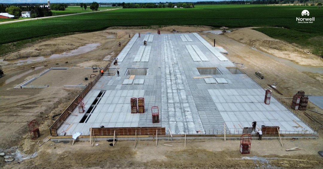 Introducing Jancora! This guided flow barn will feature: Slatted floors, 2x <a href="/DeLavalCanada/">DeLaval Canada</a> V300, 3x DeLaval V310, VHV Fans, DeLaval Optiduo, Mueller Chiller for instant cooling, Wave Waterbeds by @Promat_inc and Cosnet stabling! #DairyDoneWell #ontag #NewConstruction