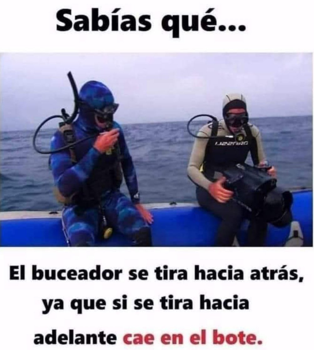 🤣🤣🤣🤣🤣🤣🤣🤣