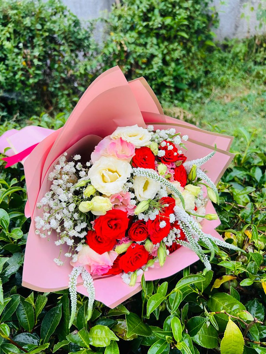 Samaneh_A_C's tweet photo. میشه بخاطر این گل 🌹🌷هم شده یه هُلِ ریز به پیجم بدید تا رشد داشته باشه ؟؟؟؟؟!!!!
#فالو_فوری 
#فالوبک_تضمینی https://t.co/I3W70FTrzv