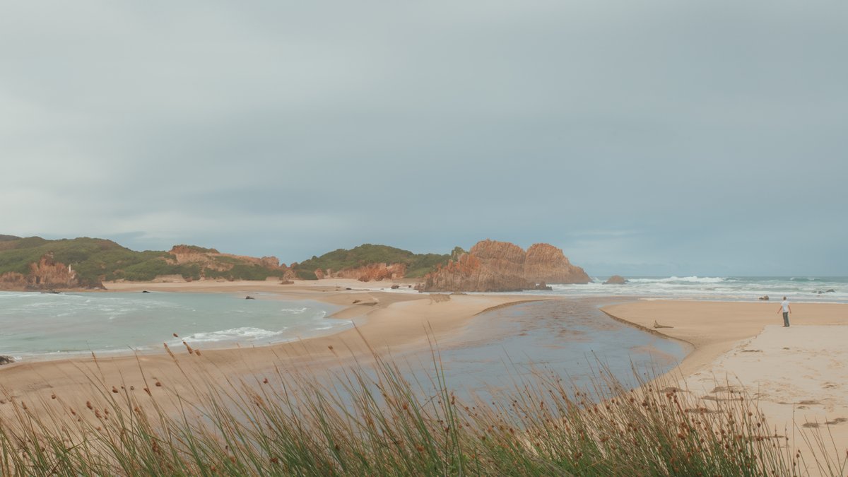 SuperRare tweet media