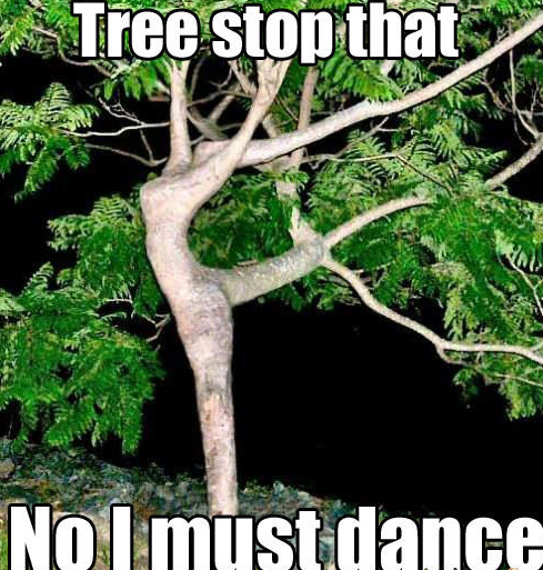 BigFatTreeMeme's tweet photo. We are live!
You can buy the Big Fat Tree token right now!
CA: 2WRoApqjGM1JKy6F6gDmWF6rBDozNvxm2qDHQPmZpump
Make it green!
Link: https://t.co/5I1K1VFfyb
#PumpFun #Solana #TreeMeme #MemeCoin #PumpCoin $SOL $SOLANA https://t.co/ouQ9PtS9a9