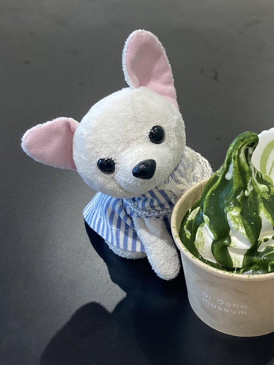 shinchikunoinu's tweet photo. アルペンの白いビニール袋をなくしてしまいました、その中には水着が入っています
青いラインが入った競泳用水着です
太ももが隠れるタイプのものです

その袋の中に白い犬のぬいぐるみも入っています
手に乗るサイズのいぬのチワワのぬいぐるみです

そのぬいぐるみだけでも戻ってきて欲しいです。 https://t.co/lzMkSOxhQd
