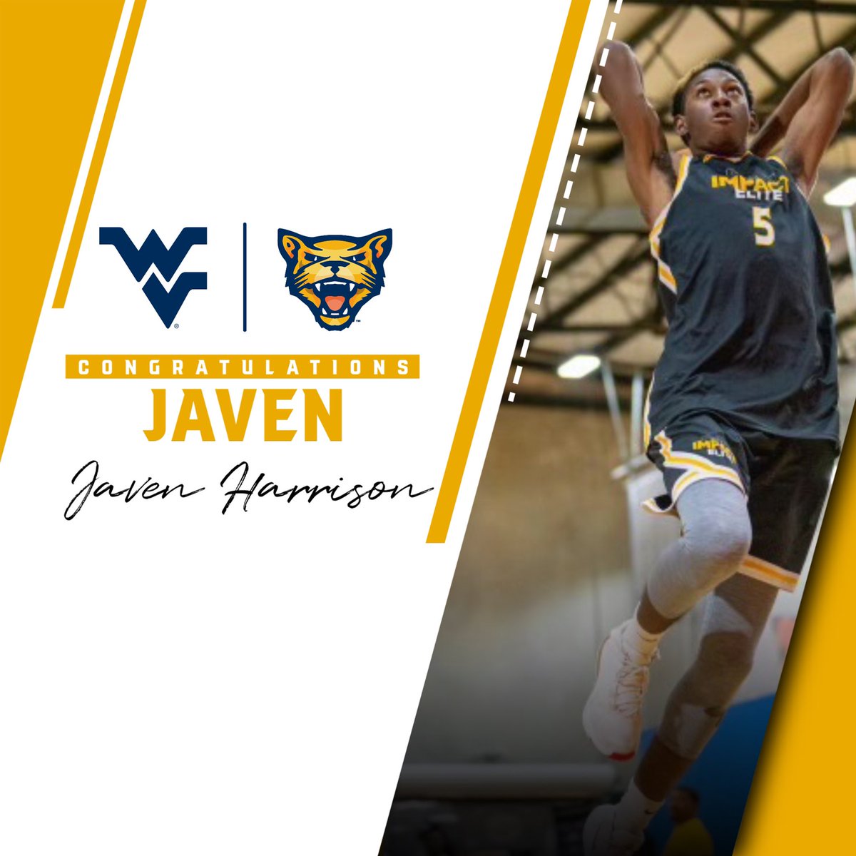 PSCCatamounts's tweet photo. We are excited to announce that Javen Harrison from Tampa, FL has committed to joining the WVU Potomac State Men’s Basketball team next fall! Congrats on becoming a Catamount!
#NJCAA #catamountcommitment @PSC_MBasketball https://t.co/5gFguXRamr