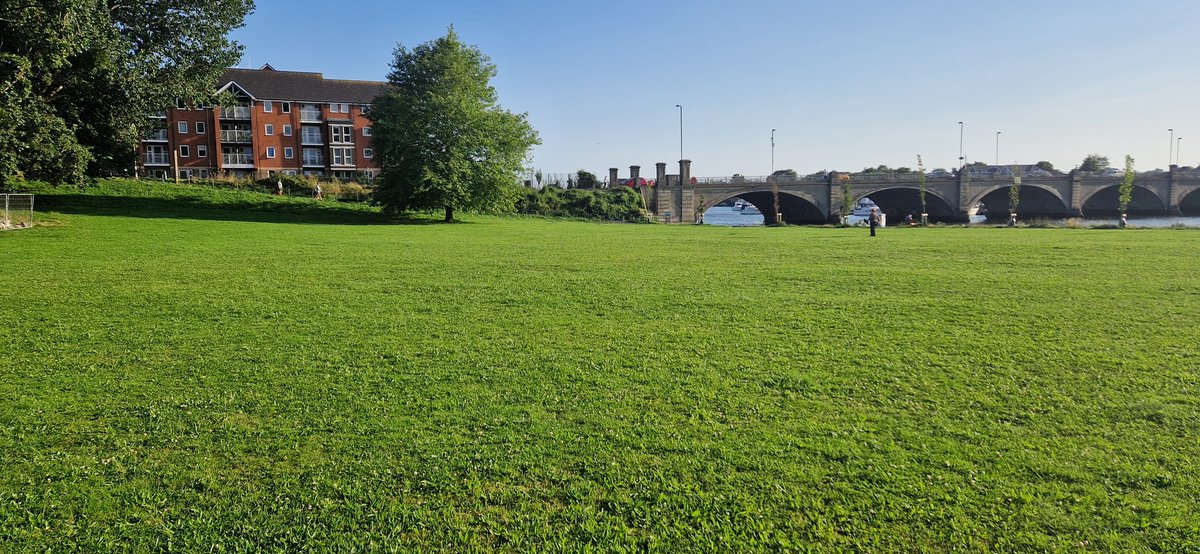 OK, festival goers.  Here is your mission (should you choose to accept it).  I don't want to be able to see the grass tomorrow.🎸🎵🥙🍺🐕