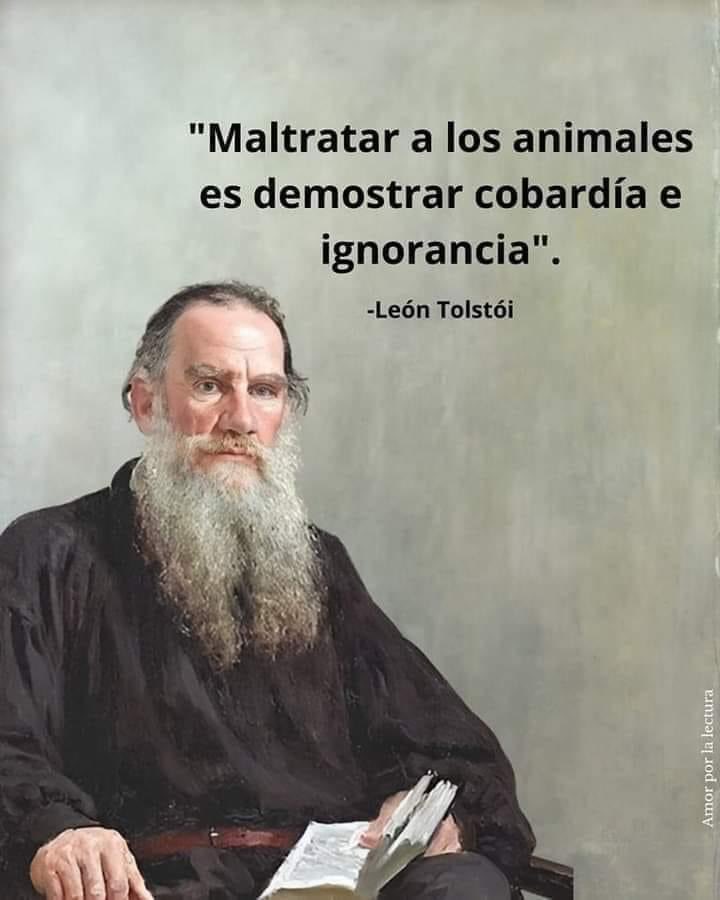 Mayú Guillén 🇲🇽🇺🇦 tweet media