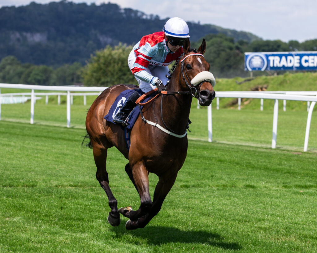 ianwilliamsraci's tweet photo. Our veteran sprinter Mokaatil for Midtech completed a quick fire sprint double @Chepstow_Racing by winning the @bet365 Handicap under @MillieWonnacot1 - once again coming from last-to-first inside the final stages 🏆 

👉 https://t.co/RWQophbpUX https://t.co/3LFu3vwYef
