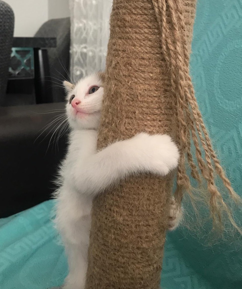 su sekil hayata tutunmaya calisiyorum