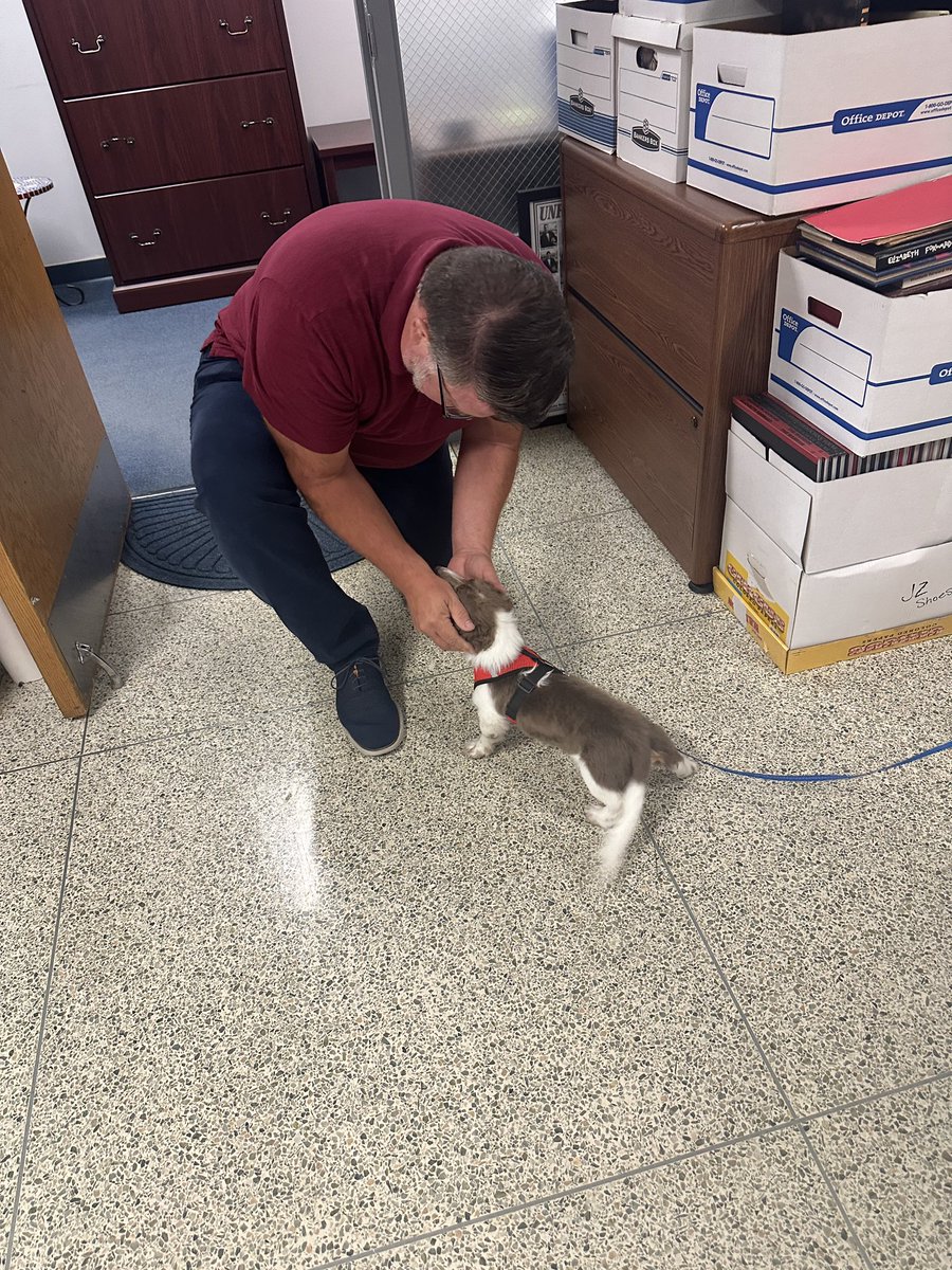 mcperry705's tweet image. The District Office went to the dogs this week! 🐾 It’s amazing how a wagging tail  can brighten up the workday.  #PetsAtWork #HappyWorkplace