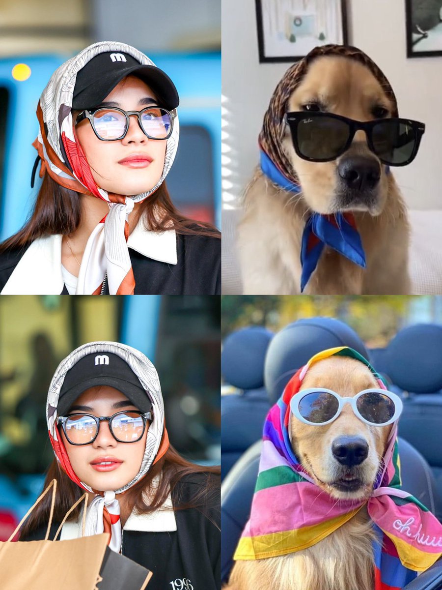 vitaiahmin's tweet image. 🐶