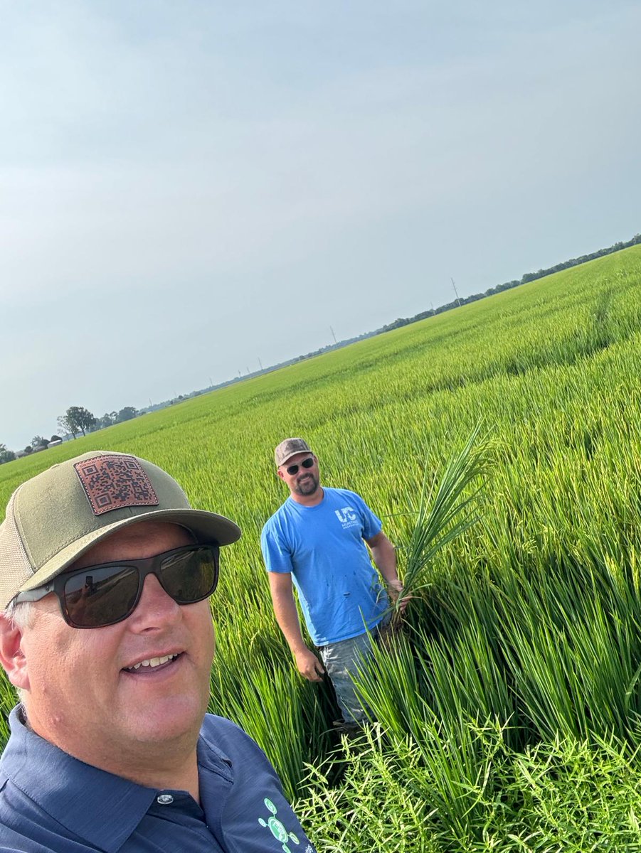 combinesettings.com tweet media