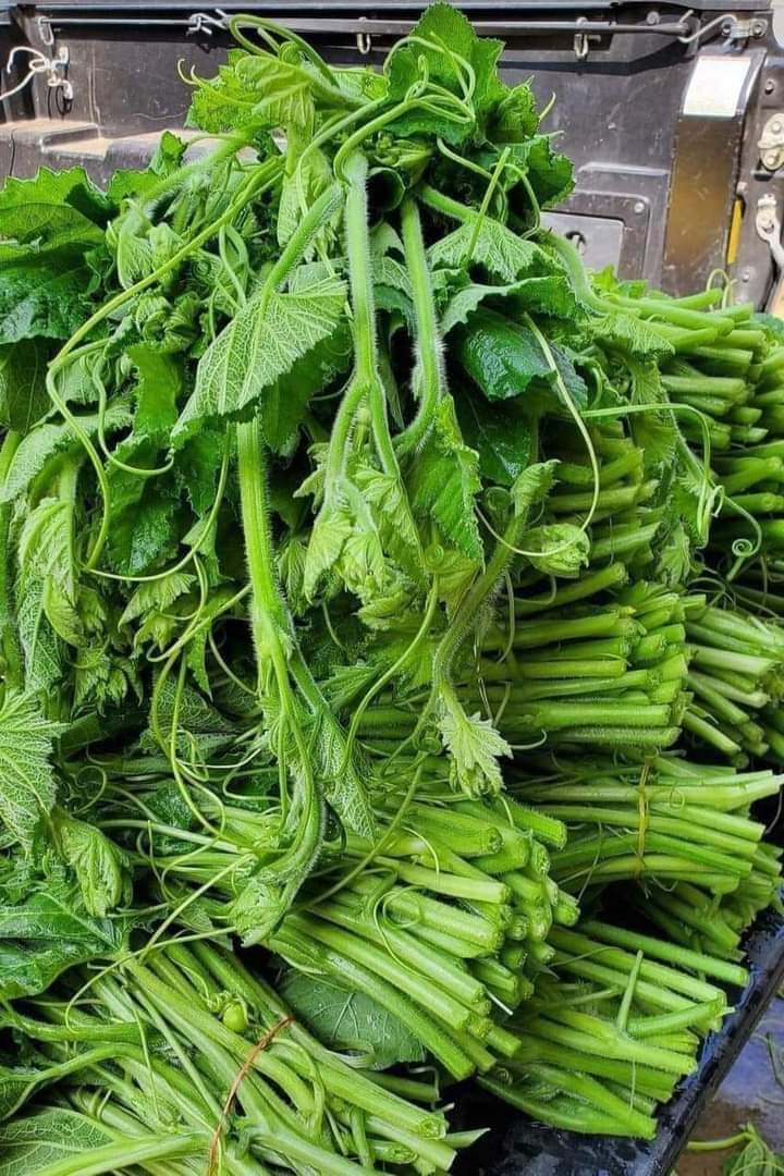 FOOD MATERIALS THAT MAY BOOST FERTILITY/SPERM HEALTH IN MEAN.

✅️Fluted pumpkin  puds, leaves, and seeds.
✅️Dark Chocolate 
✅️ walnuts
✅️ Spinach 
✅️ Egg
✅️ Avocado
✅️ Banana
✅️  prebiotic  Yoghurt.  
✅️ Tigernut milk or yoghurt.
✅️ Garlic 
✅️ cloves.