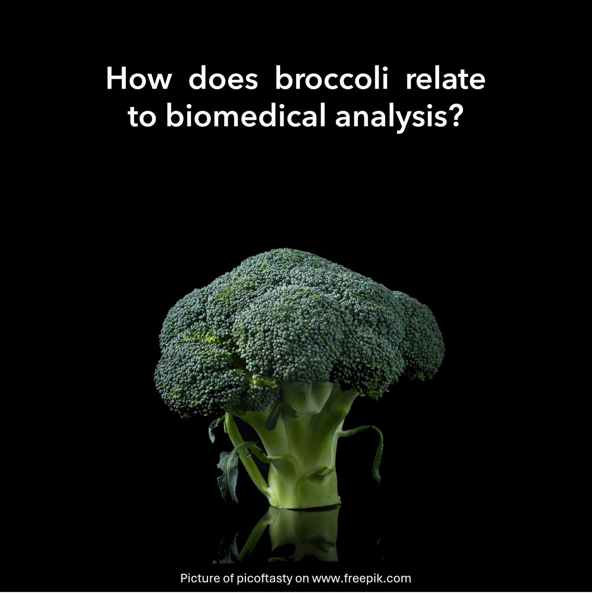 #broccoli is a #fractal, and a fractal structure reigns #spinalcord potentials. Self-similarity, as typical for fractals, is captured by detrended fluctuation analysis used by Dr. Erika Rodriguez-Torres <a href="/UAEH_OFICIAL/">UAEH</a> to distuingish health states in electrophysiological recordings