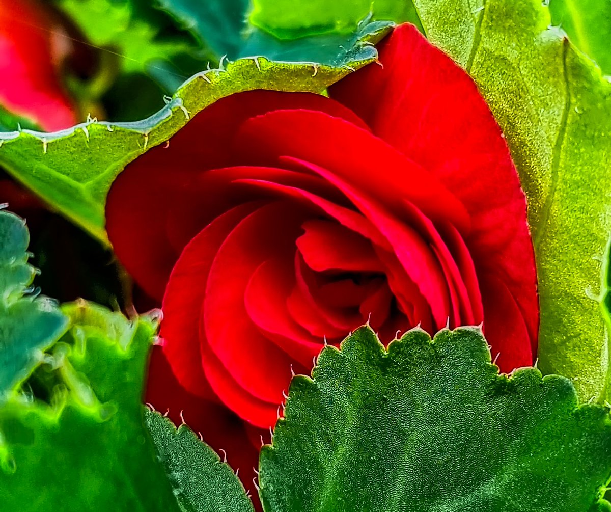 TibAnPhotos's tweet photo. @VisualsbySauter https://t.co/18oJYYvSQP