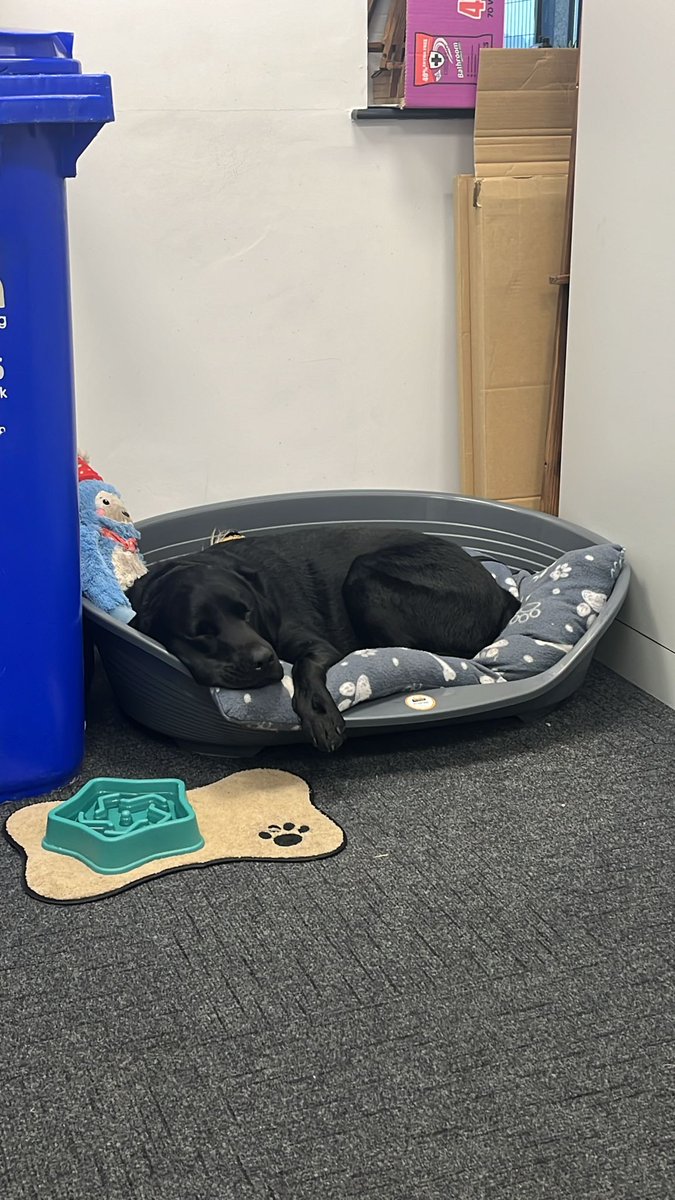 Obi Wong & Mrs Wong tweet media