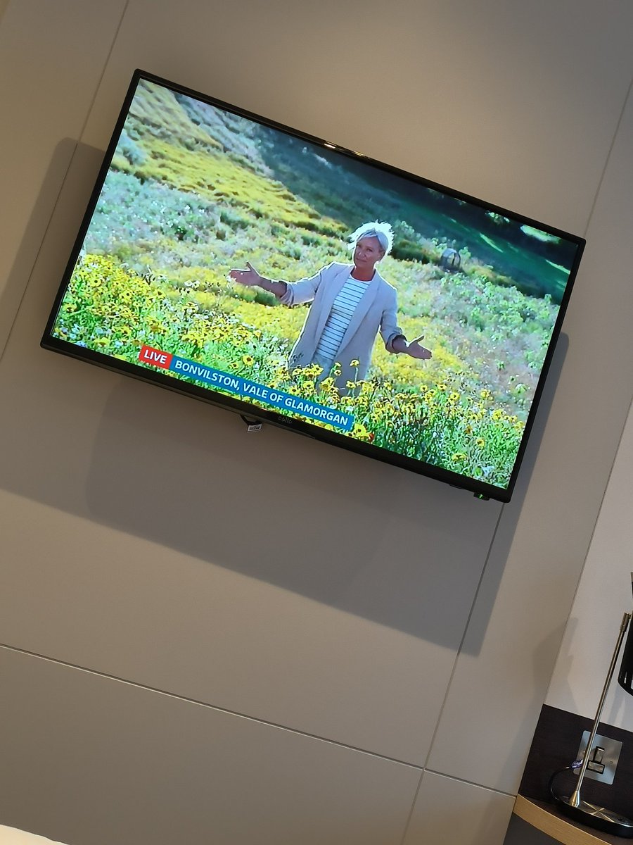 djdolydd's tweet image. @Ruth_ITV So there I was having five minutes in our hotel room in London. Just look at this ray of sunshine who&apos;s just popped up on the big telly weather xxx