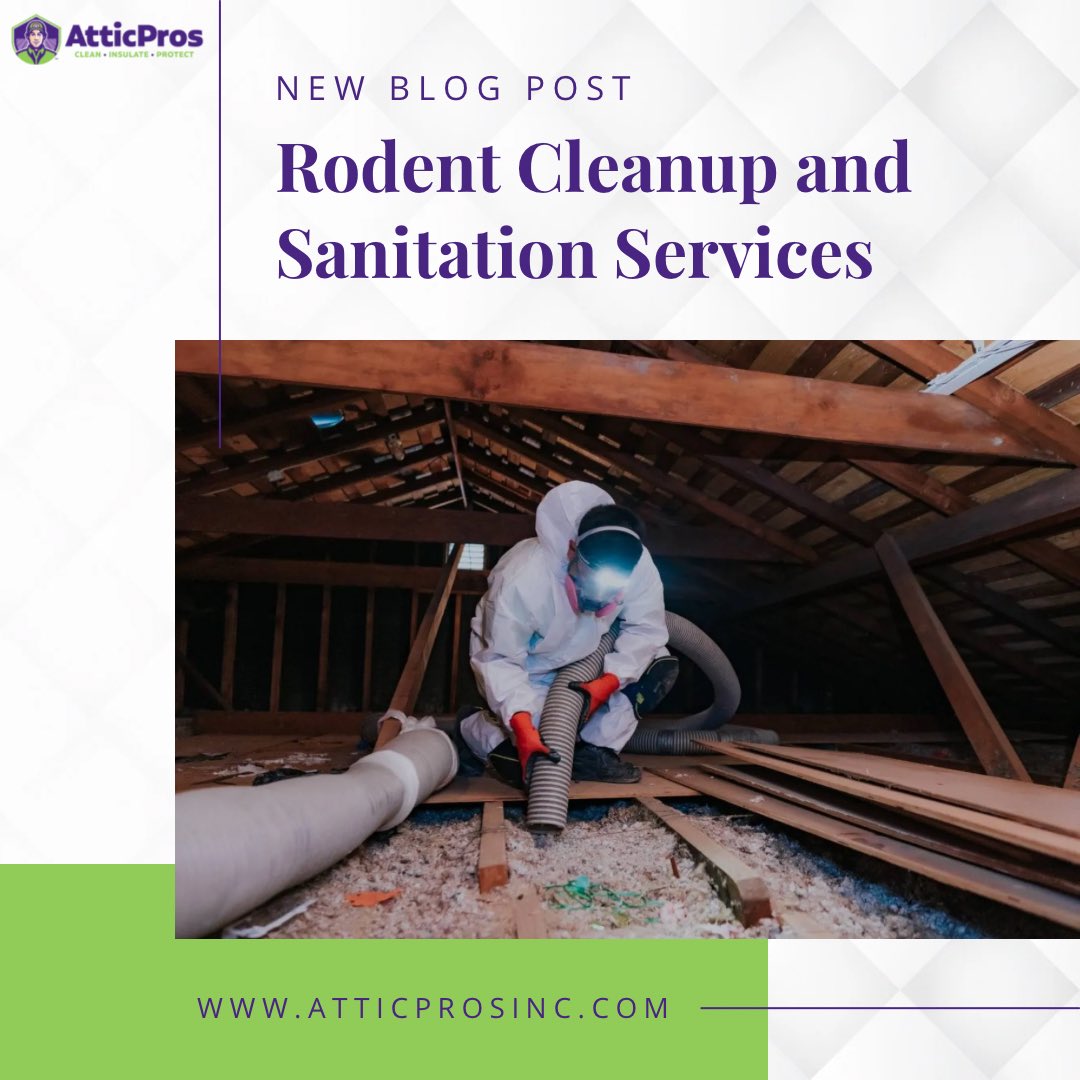 AtticPros1's tweet image. Rodents invading your space? Our blog has all the tips you need for effective cleanup and sanitation. 

Check it out now! 📝 
atticprosinc.com

#RodentProblems #SanitationExperts #CleanLiving #PestControlTips #RodentFreeLiving #HomeSafety #EffectiveCleanup #PestSolutions