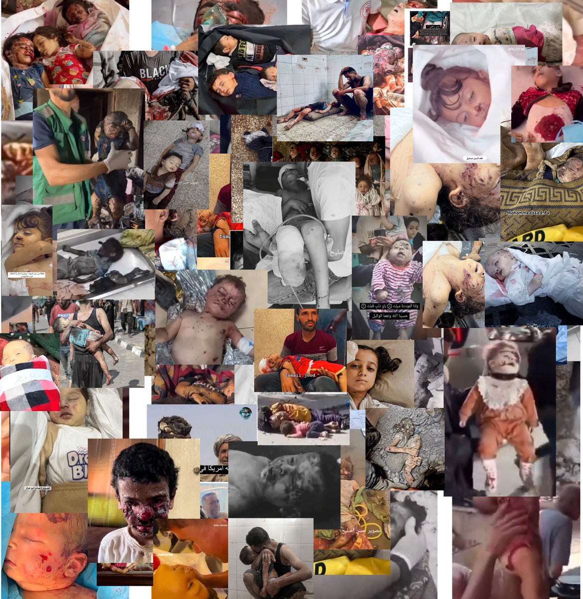 lsrаеl is a gеnосidаl state, and the politicians applaud

#IsraelTerroristState 
#IsraelIsGenocidalState