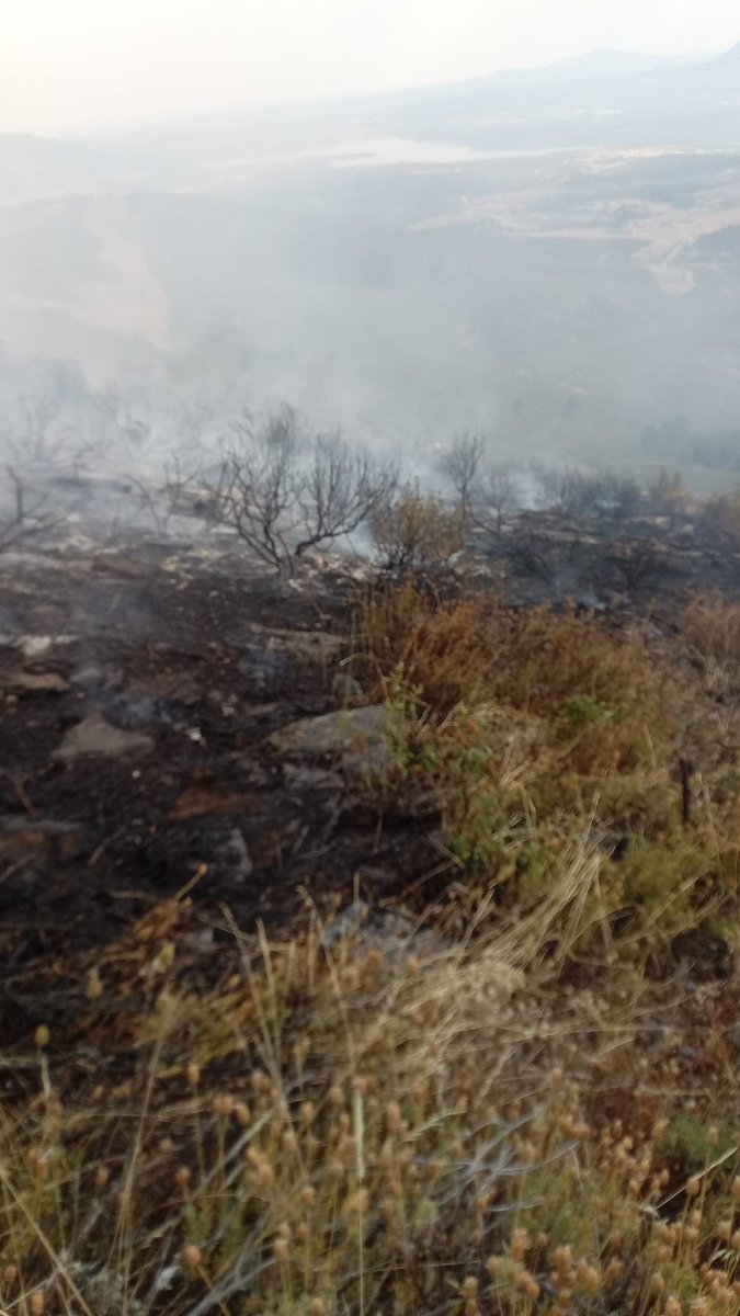 bomberos_infoma's tweet photo. 13-25 C2 a las 17:30 un rayo cerca de la torre de carratazar que ha sido quien avisó enseguida.
Se escuchó muy cercano por qué el PIF está debajo en el pueblo y por pista llegamos rápido junto a MD-13.
Intervinientes aparte LD-13 13-66,  13-21, 13-32, J3.1 y torre carratazar https://t.co/77x8yZQwzK