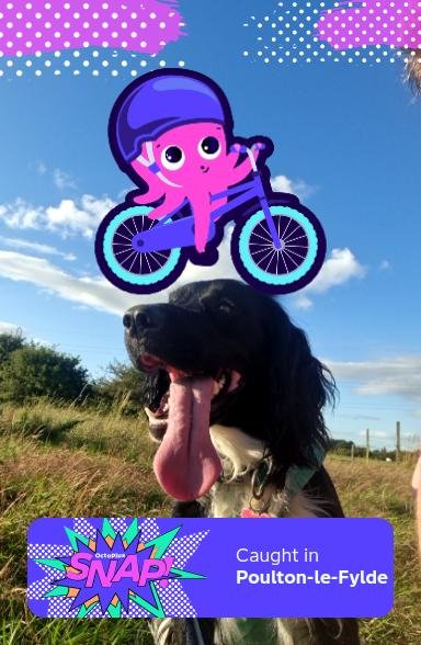 Does anyone remember that old nursery rhyme when the octopus jumped over the dog?

I may have that wrong.... #OctoplusSNAP