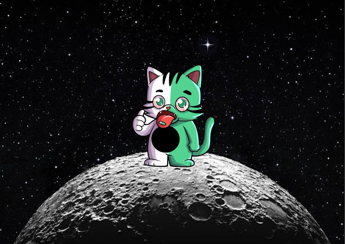 funcatsol's tweet image. Only lineup we need