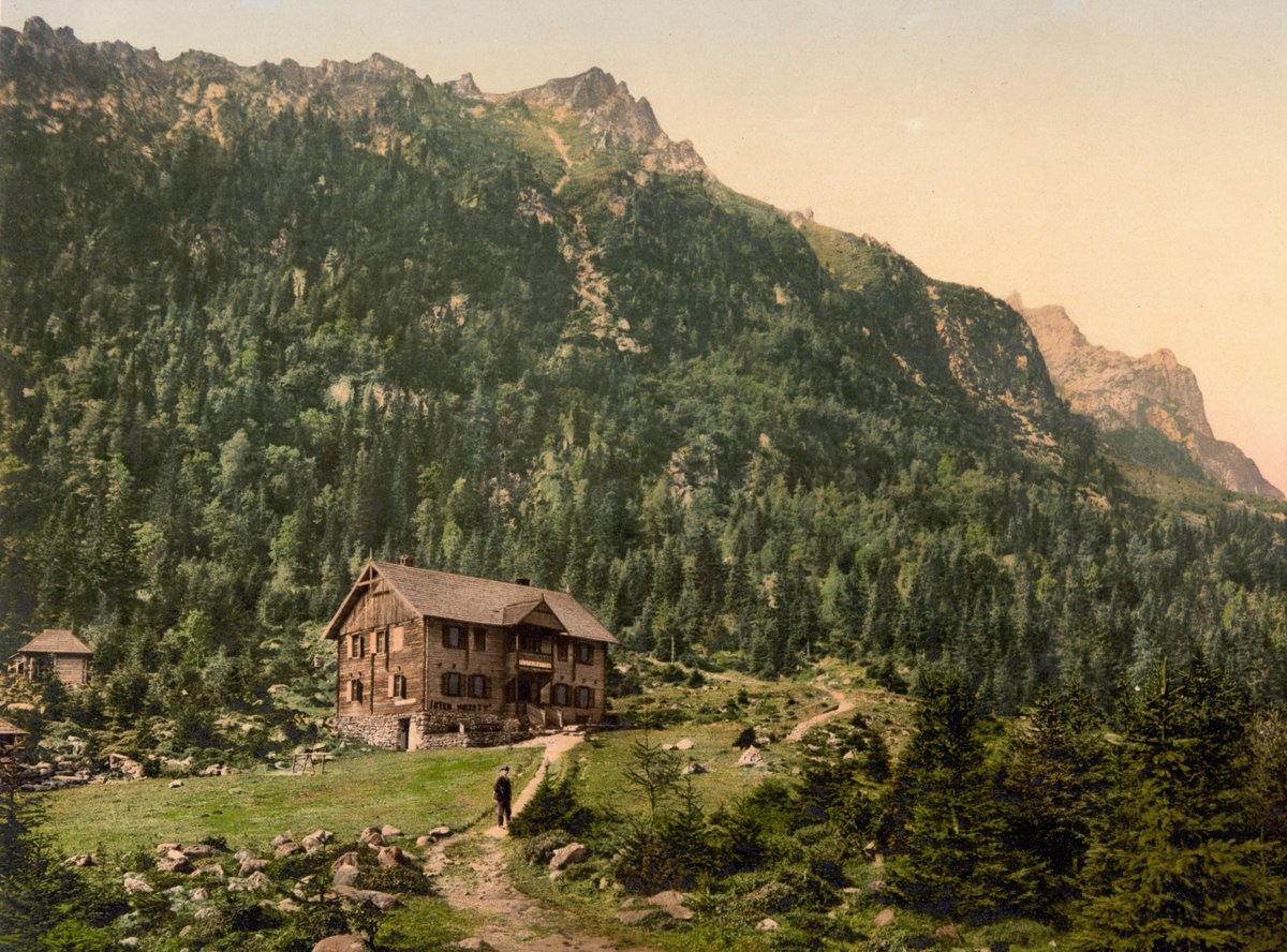 19thCenturyPh's tweet image. Tatra Mountains, Austro-Hungarian Empire (c. 1890) 🇸🇰

#Tatras #Austria #Österreich #Slovakia #AustroHungary #19thcentury