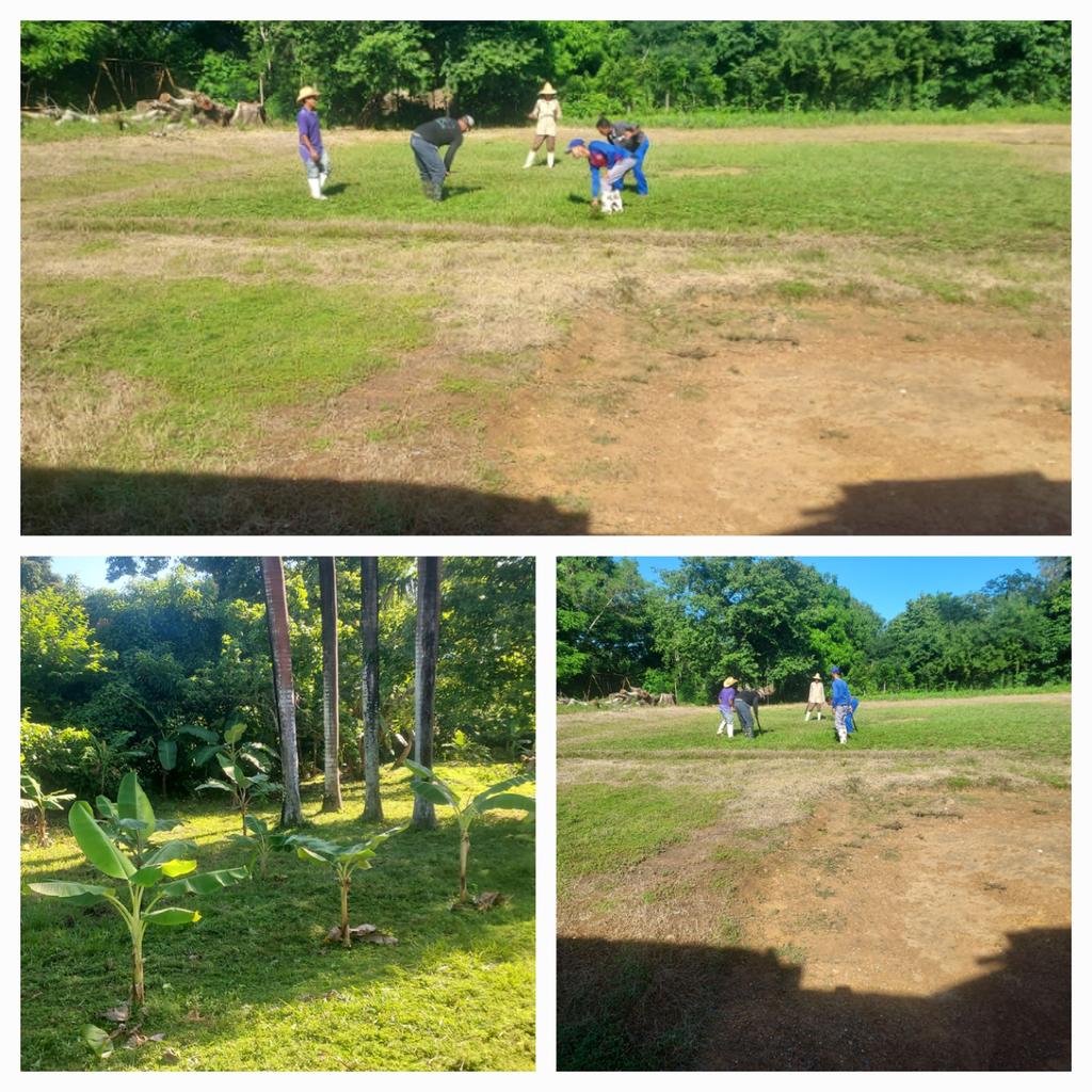 Limpieza de las áreas exteriores de la Institución Educativa. 
#EducaciónMasó.