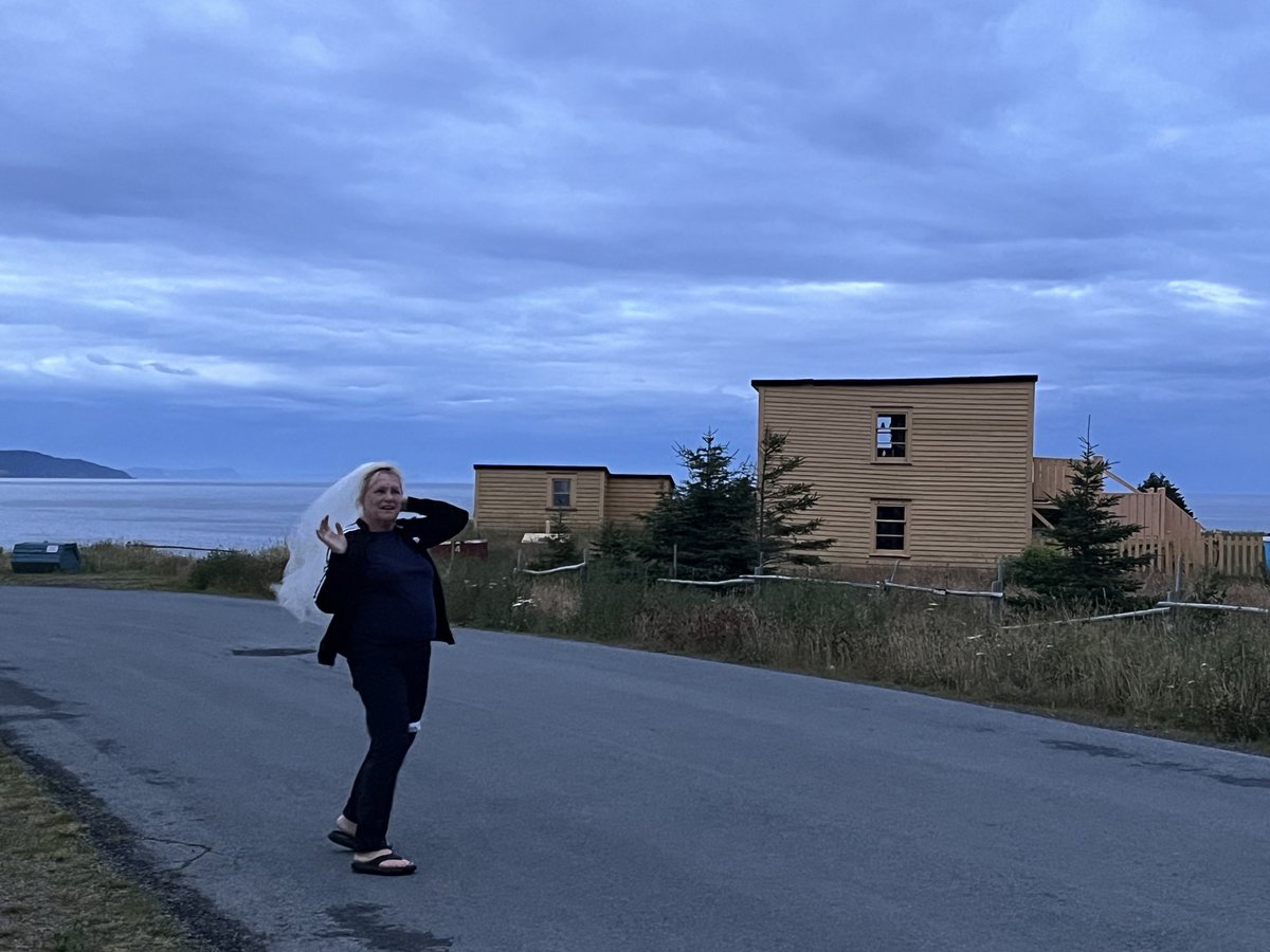 korona brophy tweet media