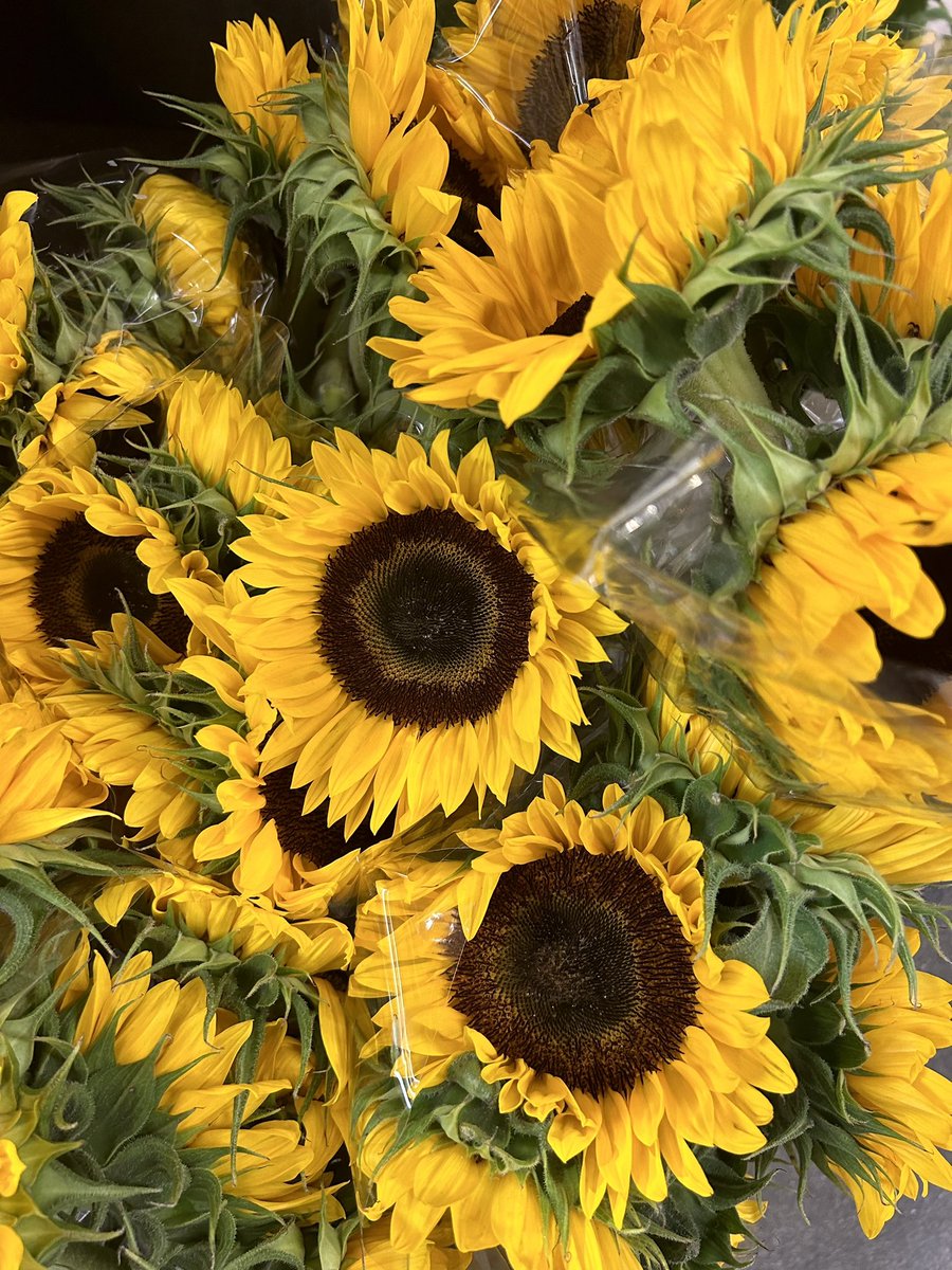 Friday fun fact…

The sunflower is #Ukraine national flower. 

These gorgeous flowers represent peace, resilience, and the strength of the brave Ukrainian people. 

#SlavaUkraïni #SlavaUkraine