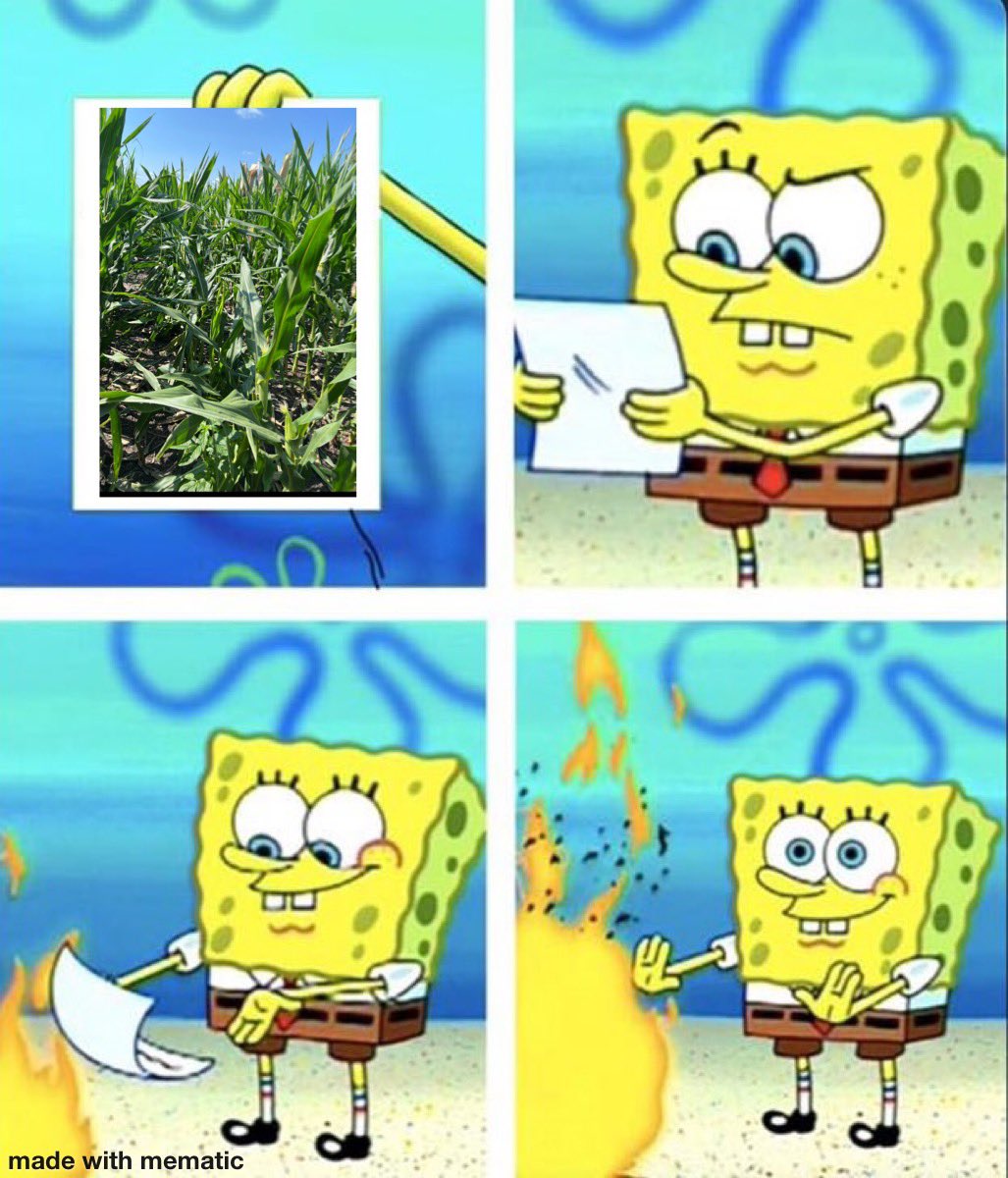 Austin Dobbels tweet media