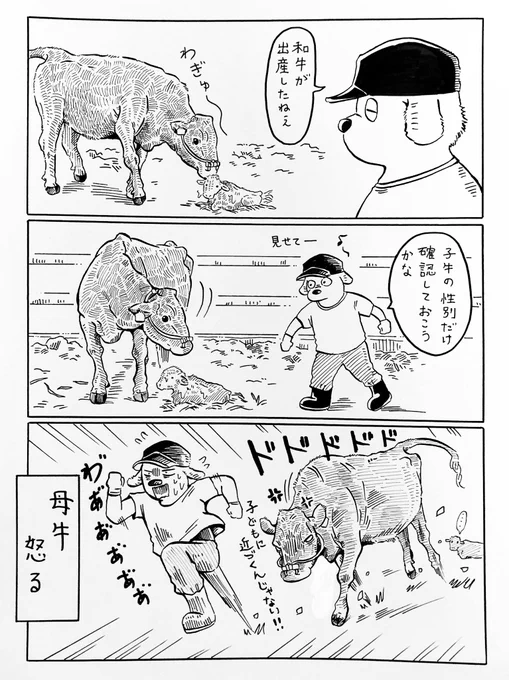 慣れと油断で肝が冷えた…🐃