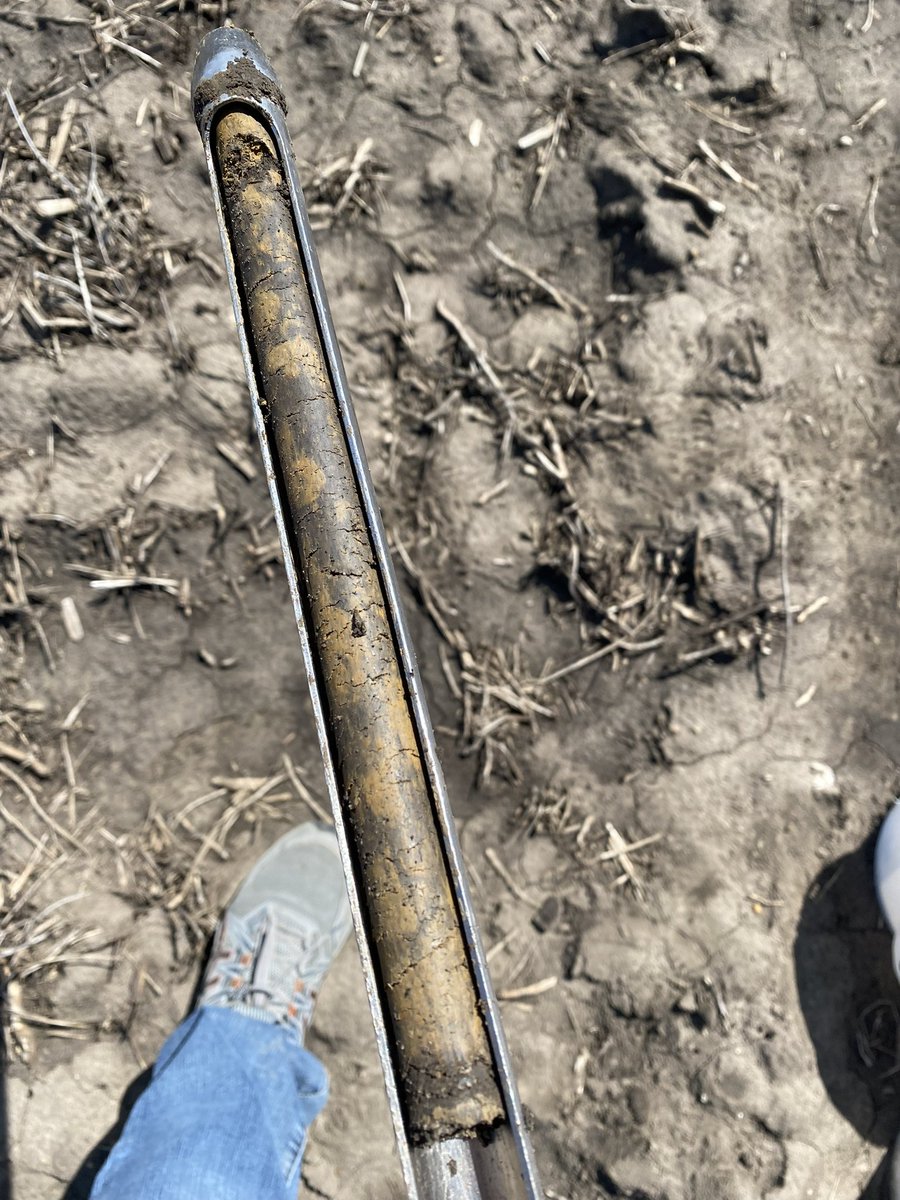 The crew is taking 3,444 soil samples this season in fertility trials…maybe I should have done the math during trial prep before we implemented all these studies….

A third of those are for soil biological indicators 

About half are nutrient stratification projects