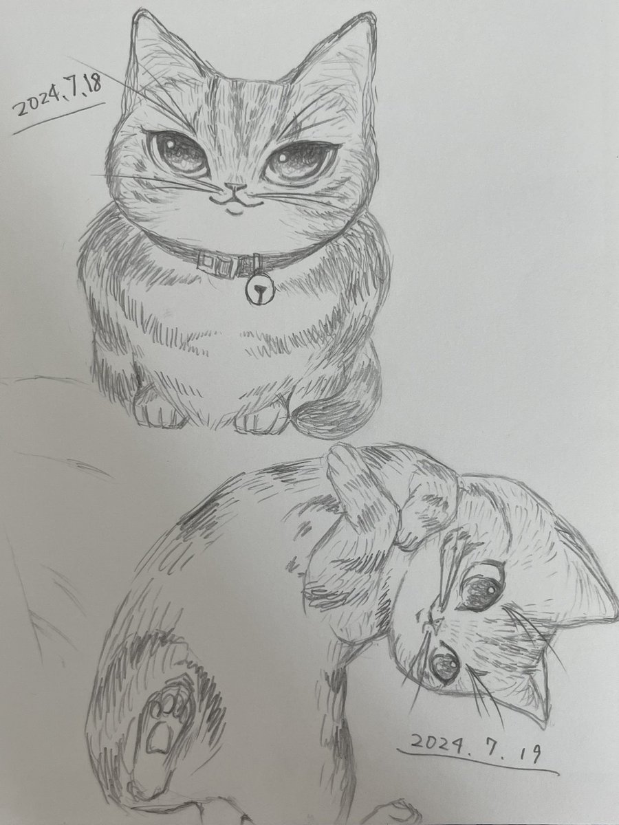 なんだかんだガリガリ描いてる。
描き途中でストップしていたデジタル絵も
進め始めた。早く完成させたい。 