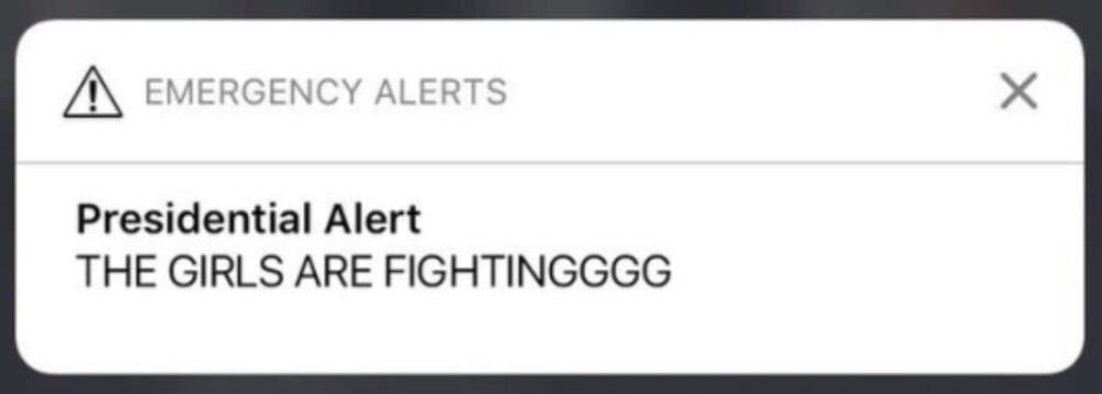  ݁ ˛ 𝓶s. 𝓜ɪᴋᴏ .ᐟ ᥫ᭡ tweet media
