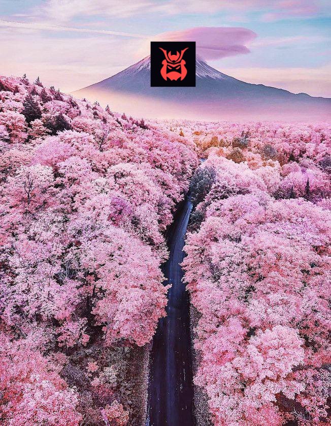 BoifriendXxg's tweet photo. Associating with #bushidos is for beautiful &amp; greater heights🚀💰

Y’all should engage with me.

Tg; https://t.co/28jSXmEdcv 💨 https://t.co/6hEFet0Y0U