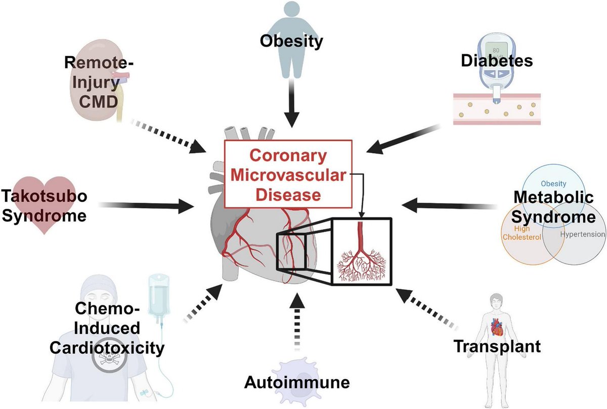 JMCCardiology's tweet photo. Review from our special issue on #Microvessels explores the expanding landscape of coronary microvascular disease in metabolic and co-morbid conditions: https://t.co/rXcrI0gYFx
@nationwidekids @k8weeks @monikagladka @vagnozzirj https://t.co/SxUXYUV24Y