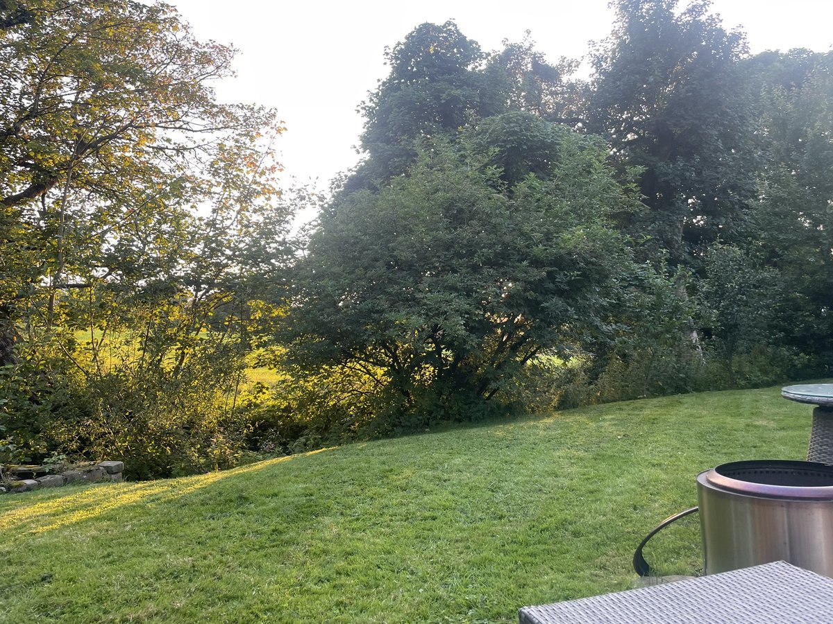 _stevenstewart's tweet image. Two bottles of champagne in and feeling pretty relaxed.