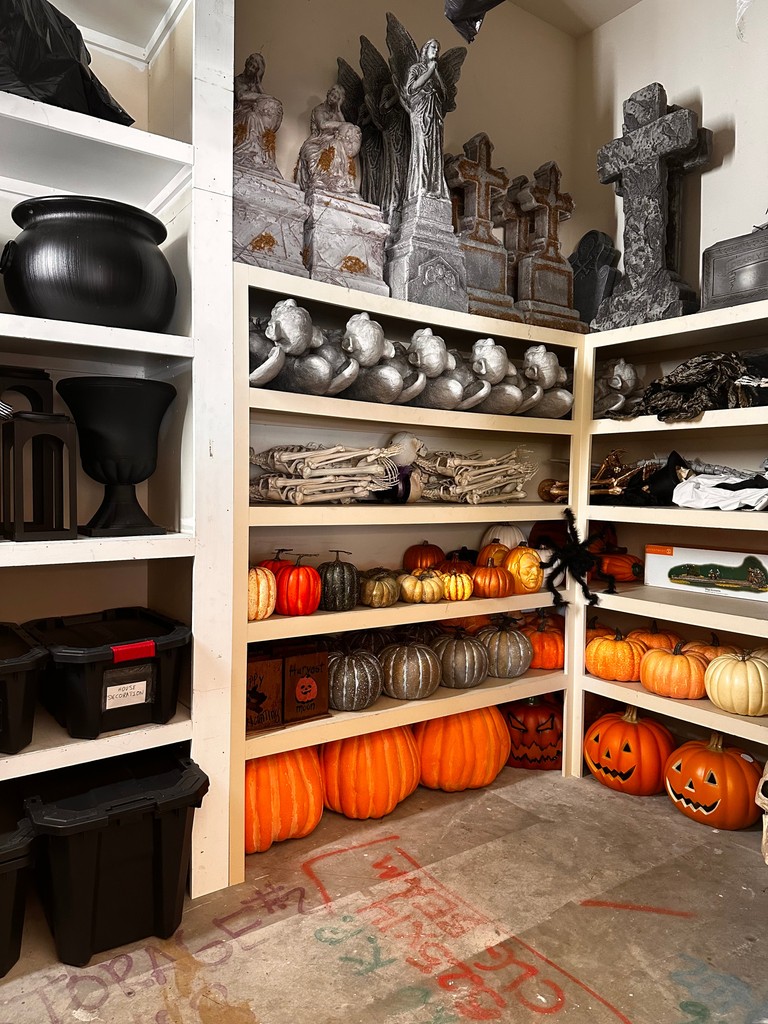 AdrienneMaloof's tweet image. Left my garage organized, but not going to start pulling things out till September, I think. Let’s see if I can do it! 😅🎃🧡 #Tempted #HalloweenReady