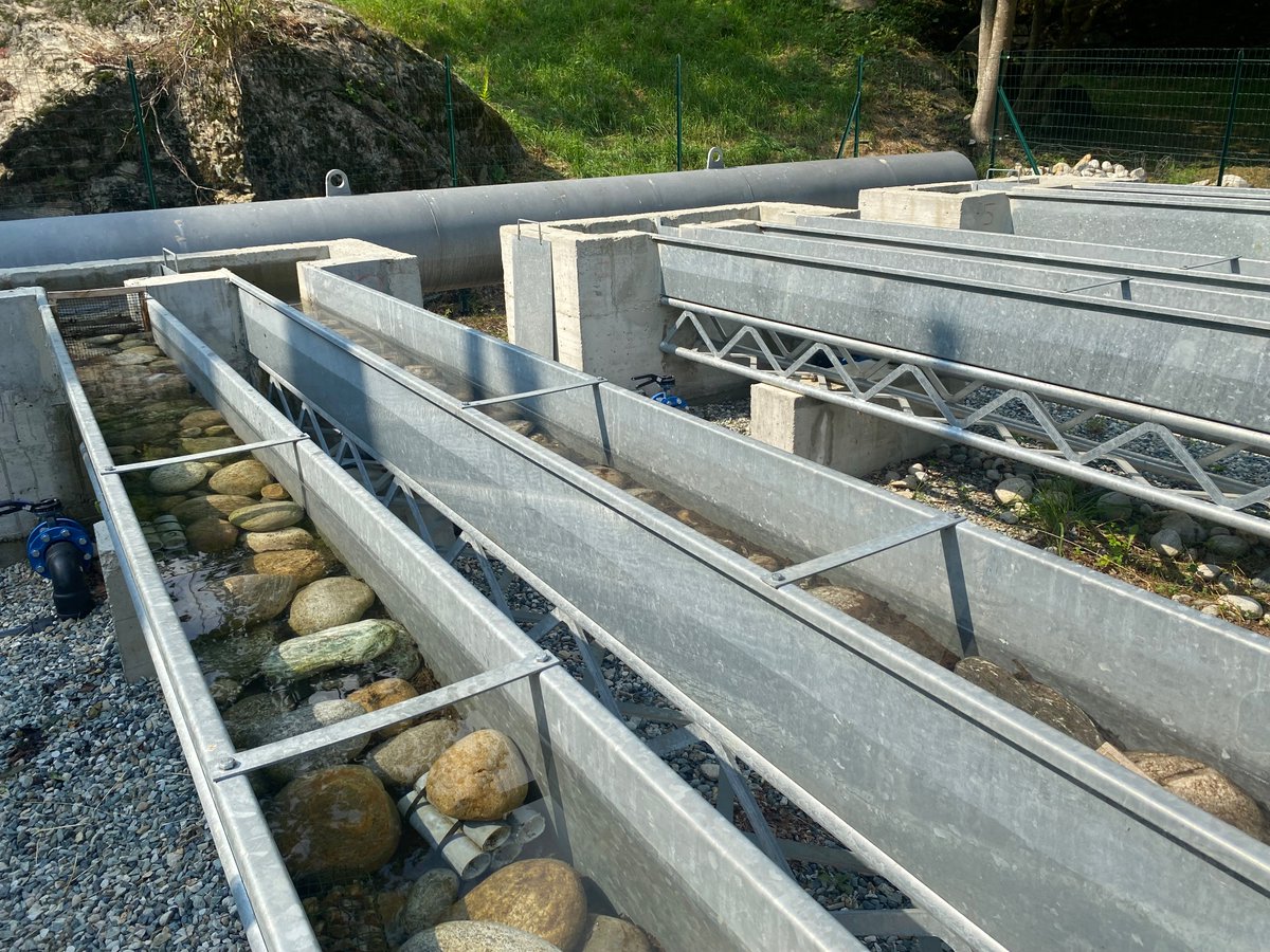 Martin Schletterer (@m_schletterer) on Twitter photo Interesting visit at the #Alpstream facility (Alpine Stream Research Center of <a href="/dbiosunito/">@DBIOSUnito</a>) in #Ostana during <a href="/Ijmep24/">IJM Congress 2024</a> โฆ Interesting visit at the #Alpstream facility (Alpine Stream Research Center of <a href="/dbiosunito/">@DBIOSUnito</a>) in #Ostana during <a href="/Ijmep24/">IJM Congress 2024</a> โฆ