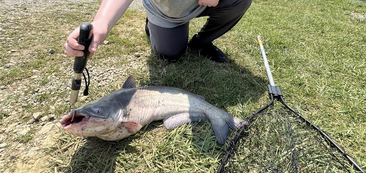 Not a bad day 17.4 flatty 13.9 flatty and 23.8 blue